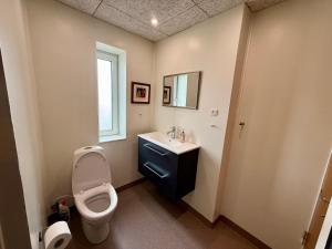 a bathroom with a toilet and a sink at Charming Townhouse In Thyborøn in Thyborøn +27 photos