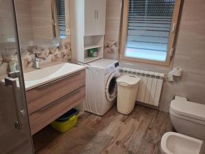 a bathroom with a washing machine and a sink at Apartma Jasen in Ilirska Bistrica +22 photos