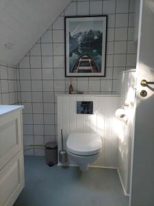 a bathroom with a toilet and a picture on the wall at Modern Oasis Surrounded By Nature in Ry
