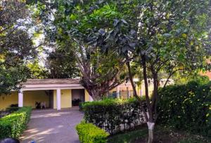 a building with trees and bushes in front of it at VILLA REAL lll YAUTEPEC in Yautepec de Zaragoza