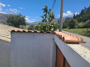 a plant on the top of a white wall at Anta lodge in Huaraz +10 photos
