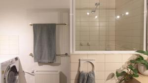 a bathroom with a washing machine and a shower at Burramys in Dinner Plain