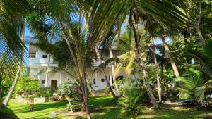 a building with palm trees in front of it at Coco Villa in Talpe