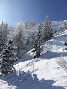 Fotografie z fotogalerie ubytování Appartements Rendl v destinaci Sankt Anton am Arlberg