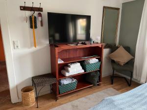 a television on a shelf in a bedroom at Zimmer Mühlenbach, ein Zimmer in FeWo mit 2 Zi in Schieder-Schwalenberg