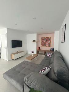 a living room with a gray couch and a tv at Casa das Abelhas in Arcos de Valdevez +38 photos