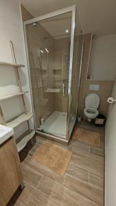 a bathroom with a shower and a toilet at Clos de la Vigne Saint Roch in Crêches-sur-Saône +20 photos