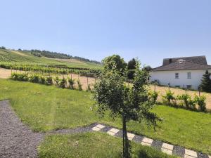 a small tree in a field next to a house at FeWo 180° MOSELWeitblick in Neumagen-Dhron