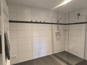 a bathroom with a shower with a glass door at FeWo 180° MOSELWeitblick in Neumagen-Dhron +11 photos