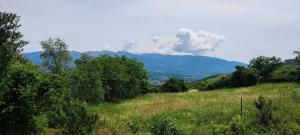 a green field with trees and mountains in the background at Lugina e Qetesise in Librazhd