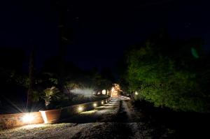 a night view of a park with trees and lights at Il Giuncheto in Trequanda