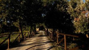 a path with trees and a wooden fence at Il Giuncheto in Trequanda