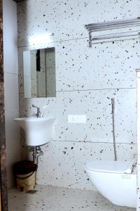a bathroom with a sink and a toilet and a mirror at Hotel Ellora Pride in Ellora +16 photos