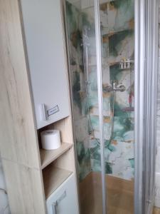 a shower with a glass door in a bathroom at Zum Alten Pferdestall in Eppingen