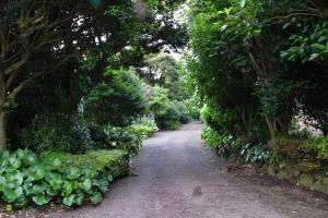 Gallery image of Jeju Forest in Jeju