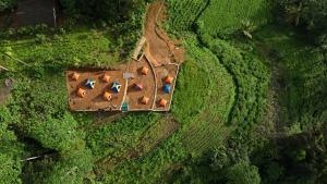 an aerial view of a house in a field at Sinharaja Eco Camp in Deniyaya