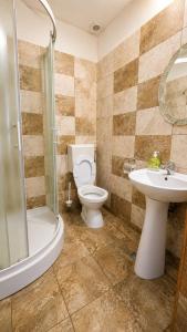 a bathroom with a toilet and a sink and a shower at Crama Tărănească in Tătărani