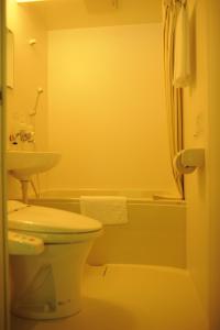a bathroom with a toilet and a sink at パークホテル九頭竜 in Ōno +9 photos