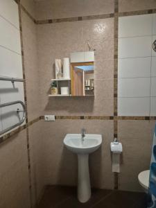 a bathroom with a sink and a mirror at Gintolina in Kazlų Rūda