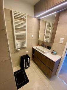 a bathroom with a sink and a mirror at Elite Gerlach Mezonet in Svätý Jur