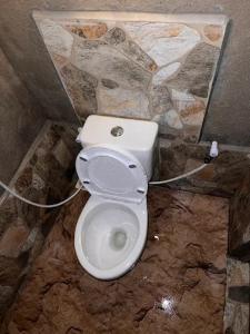a bathroom with a toilet with a stone wall at Sinharaja Eco Camp in Deniyaya