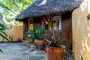 a small house with plants in front of it at Distant Relatives Ecolodge & Backpackers in Kilifi