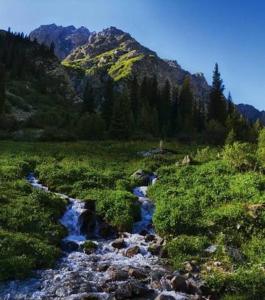 a river in a field with a mountain in the background at Kashka-Suu house in Verkhnyaya Alaarcha