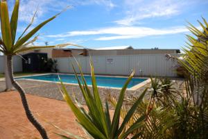 ein Haus mit Swimmingpool und einigen Pflanzen in der Unterkunft Waves Geraldton in Geraldton