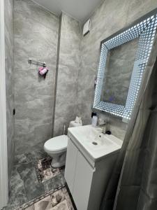 a bathroom with a sink and a toilet and a mirror at APARTMENT Ultra central in Edineţ