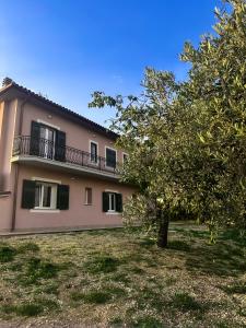 a house with a tree in front of it at La Sabinese in Frasso Sabino