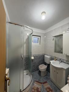 a bathroom with a shower and a toilet and a sink at Studio app Ana in Kostrena