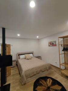 a bedroom with a bed and a television in it at Gondar Stays Estúdio 