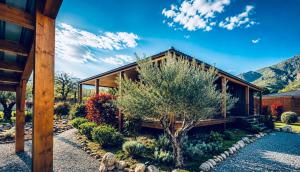 a house with a tree in front of it at Villas Vallée d'ASCO in Moltifao