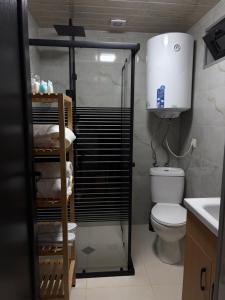 a bathroom with a shower and a toilet and a sink at OHANA Cottages in Merisi in Merisi +21 photos
