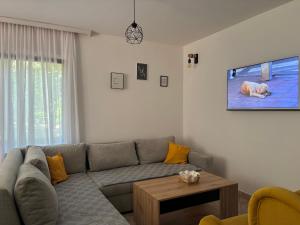 a living room with a couch and a tv at Šumska kuća Juga Kovačević in Bela Crkva