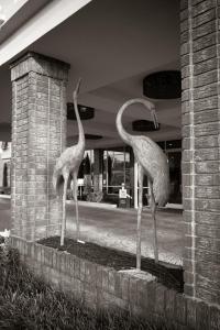 a statue of an elephant in front of a building at Town & Country Inn and Suites in Charleston
