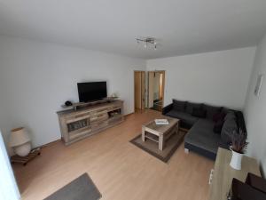a living room with a couch and a flat screen tv at Haus-Sonnenschein - Lausitzer Seenland - Senftenberger See in Senftenberg