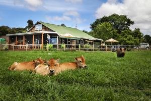 Animale la sau în apropiere de această pensiune agroturistică