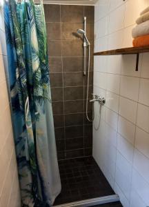 a shower with a shower curtain in a bathroom at Muhu Garden Cabin in Suuremõisa
