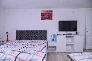 a bedroom with a bed and a flat screen tv at Kuća Cvetković in Pirot