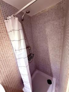 a bathroom with a shower with a toilet in it at Hakuna Matata in El Campello +25 photos