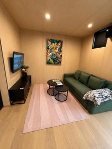 a living room with a green couch and a tv at Relax on Remarkable in Queenstown +8 photos