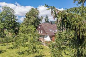 an aerial view of a house with trees at Roubenka Kailas in Červená Voda