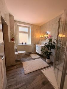 a bathroom with a toilet and a sink and a shower at Ferienwohnung Heidi in Annaberg-Buchholz +6 photos