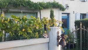 a fence with a plant on it next to a door at Chambre D'hôtes De La Vaine in Cartelègue