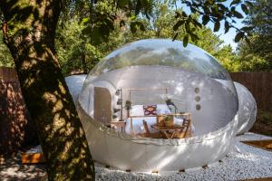 a glass dome house with a bed in it at Burbujas cerca de Ronda in Ronda