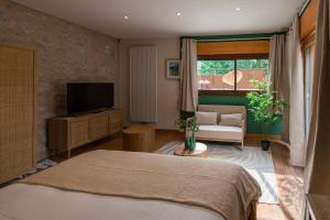 ein Schlafzimmer mit Bett, Fernseher und Sofa in der Unterkunft L'écrin des granges in Culoz