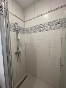 a bathroom with a shower with a glass door at Apartman cheb in Cheb