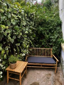 a bench and a table in front of a bush at Chez Mamé Marie in Fraissé-des-Corbières +4 photos