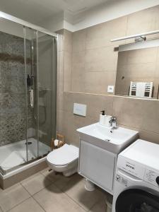 a bathroom with a toilet and a shower and a sink at Apartment with parking in the city center in Staré Mesto